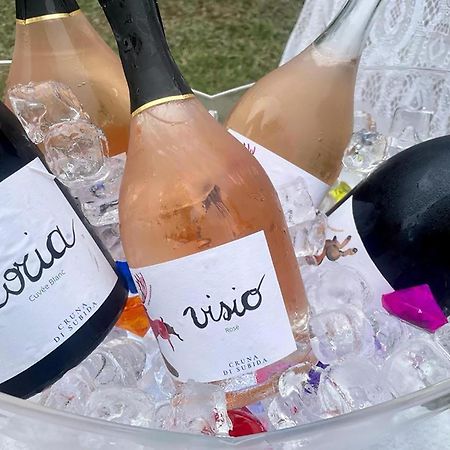 Cruna Di Subida Wine Country House Cormons Bagian luar foto