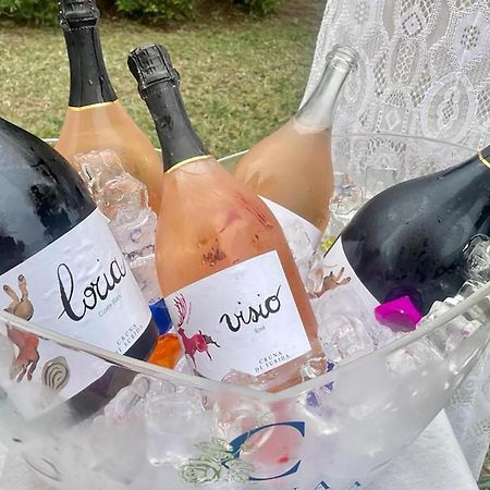 Cruna Di Subida Wine Country House Cormons Bagian luar foto