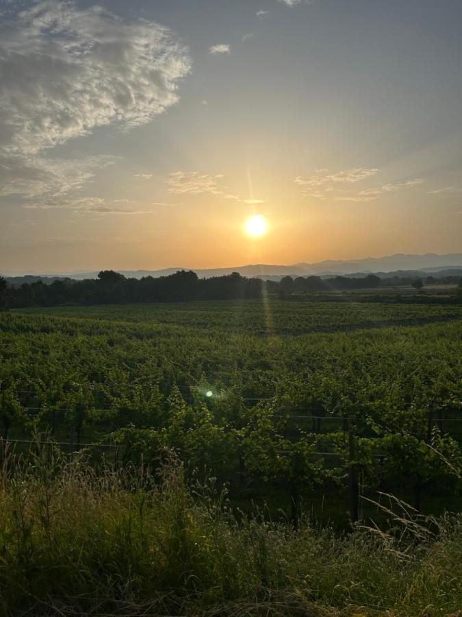 Cruna Di Subida Wine Country House Cormons Bagian luar foto