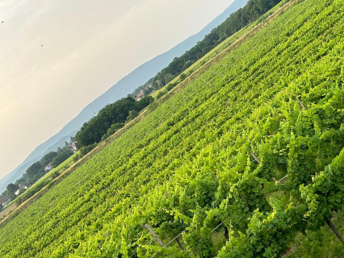 Cruna Di Subida Wine Country House Cormons Bagian luar foto