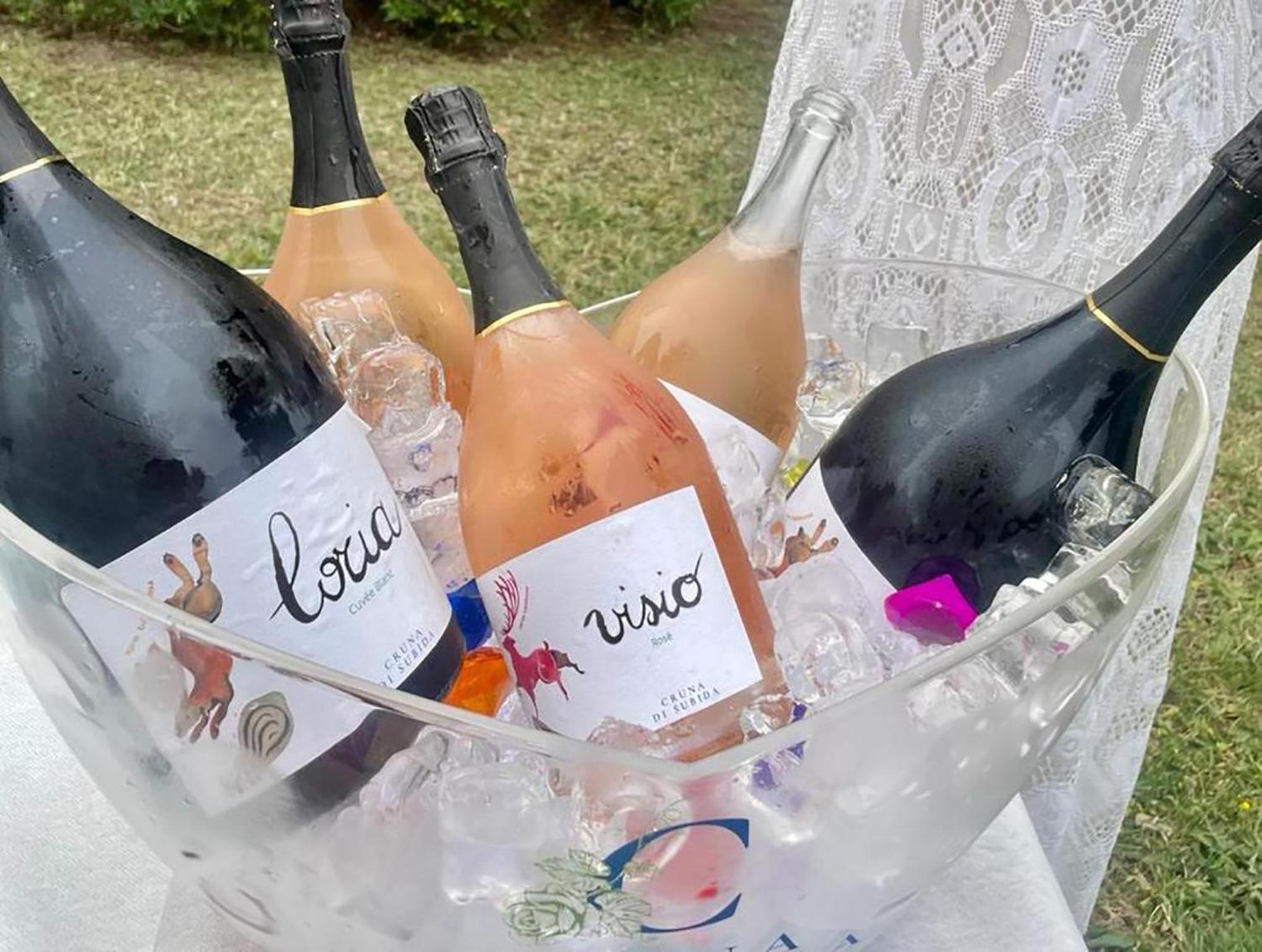 Cruna Di Subida Wine Country House Cormons Bagian luar foto